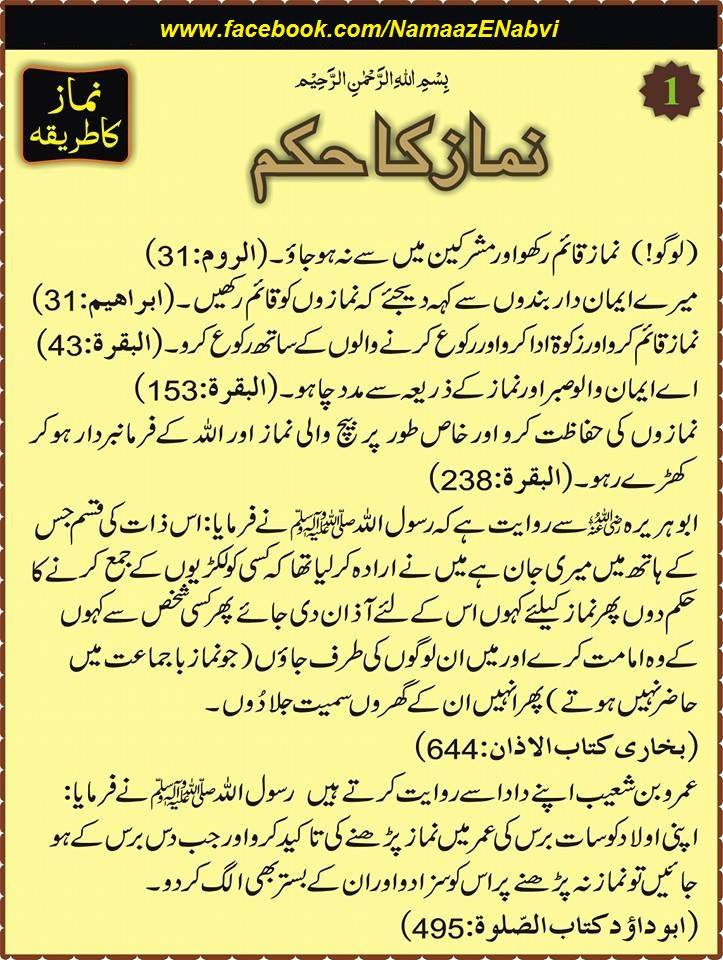 10635749_705915986193290_7749225404026104823_n (1).jpg