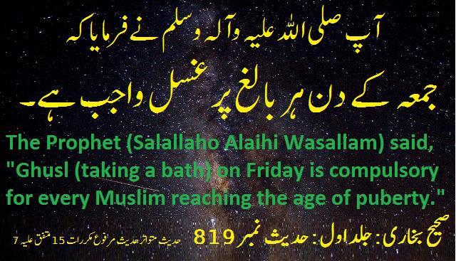 1186232_408997719200140_1921100905_n (1).jpg