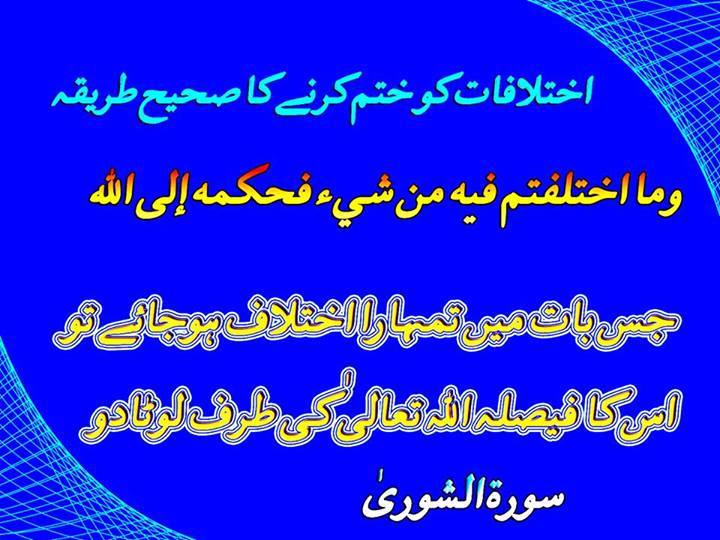 1466222_1399336436975872_88768368_n.jpg