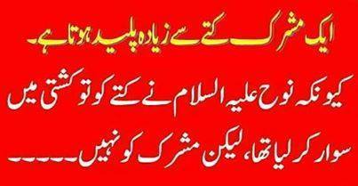 1486727_1392196187691667_2111317655_n (1).jpg