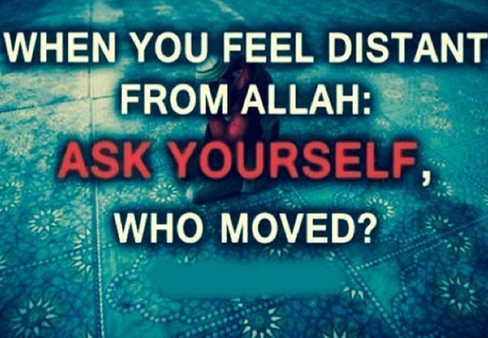 Who moved.jpg