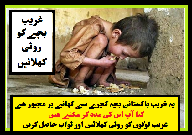 Wid_Feed the Poor Kid.png