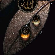 محمد شوكت نصير