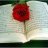 رفیع الدین